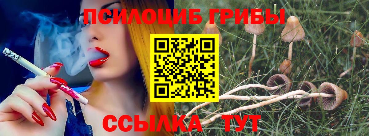 Псилоцибиновые грибы ЛСД Кемерово