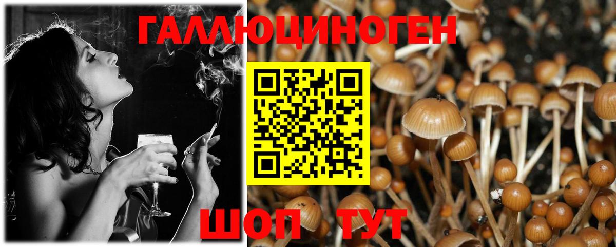 Псилоцибиновые грибы MAGIC MUSHROOMS  Вход с VPN  Кемерово 